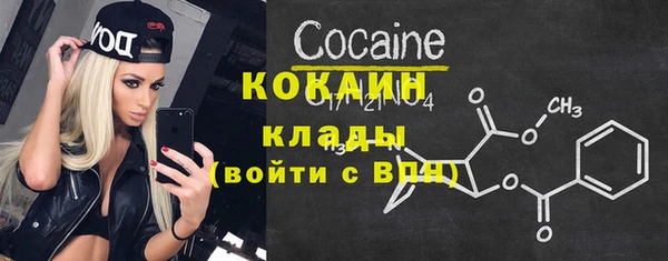 прущие грибы Новокубанск