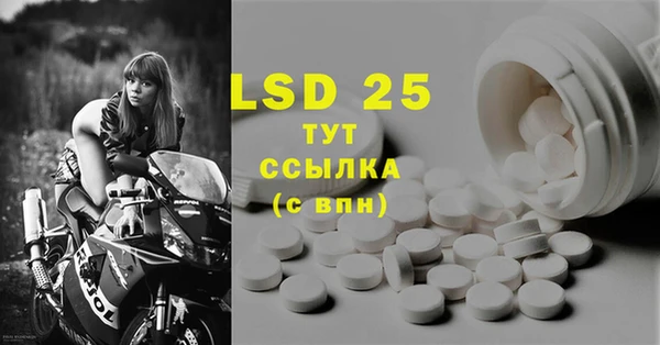 прущие грибы Новокубанск
