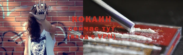 прущая мука Новодвинск