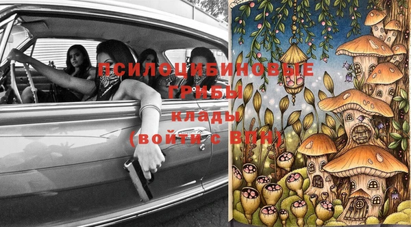 прущая мука Новодвинск