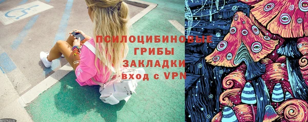 прущая мука Новодвинск